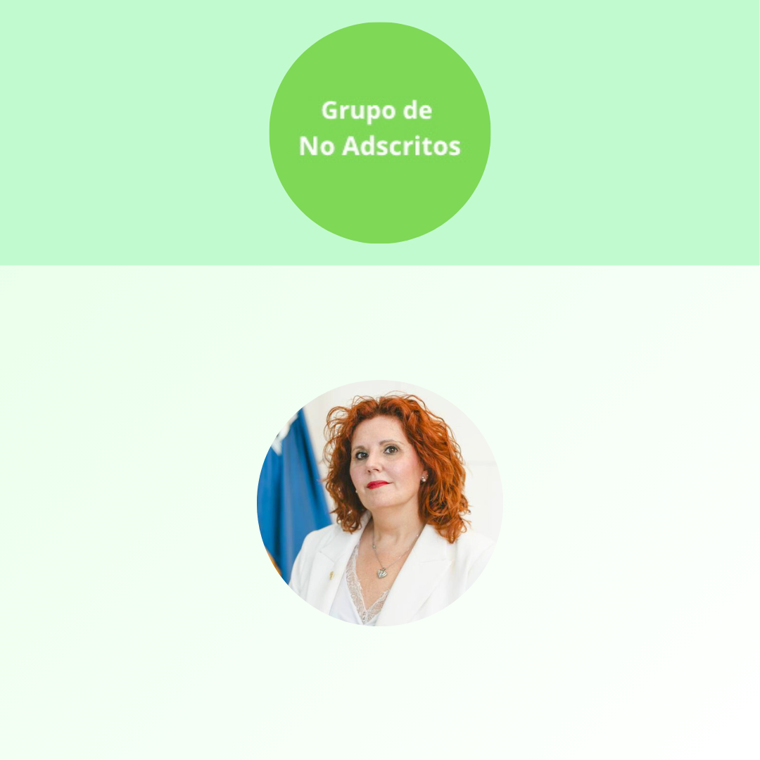concejal no adscrita Salou